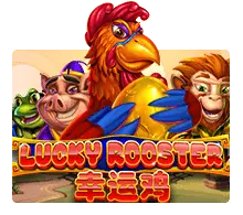 Lucky Rooster