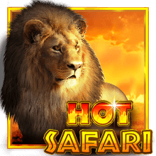 Hot Safari  